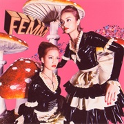 FEMM - Pow! / L.C.S. + Femm-Isation