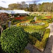 Cornwall Rose Garden, Bellingham