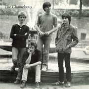 The Chameleons
