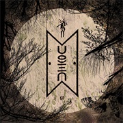 Sleepytime Gorilla Museum - Ambugaton