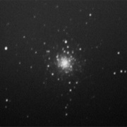 M79