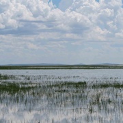 Dalai Lake National Nature Reserve, Inner Mongolia, China