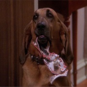 S9.E5: Ruff Goin'
