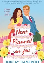 Never Planned on You (Lindsay Hameroff)