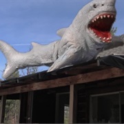 A Land Shark Is at the Door