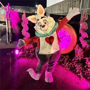 White Rabbit