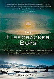 The Firecracker Boys (Dan O'Neill)