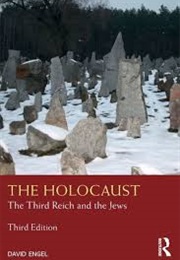 The Holocaust: The Third Reich and the Jews (David Engel)