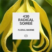Radical Soiree