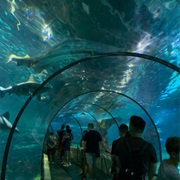 Barcelona Aquiarium