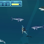 Wild Kratts Ride on Remora