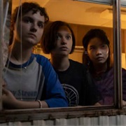 3. Blue Tongues Don't Lie