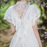 V-Shaped Lace Collar on Back