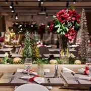 Christmas Fancy Dinner Party