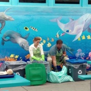 S5.E2: All Aboard Who's Coming Aboard