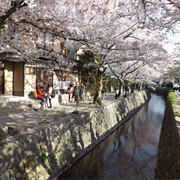 Philosophers' Walk, Kyoto