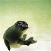 DJ Metatron - U'll Be the King of the Stars