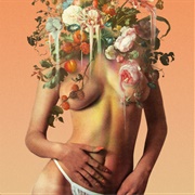 Orange (Stop Light Observations)