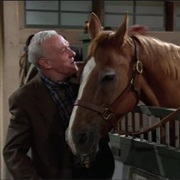 S5.E2: The Gift Horse