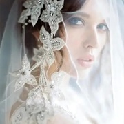 Jeweled Lace Appliques on Veil