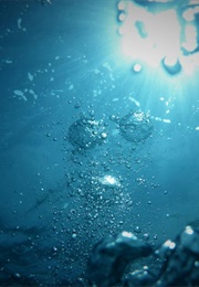 Mother Mollusk (Marisca Pichette)