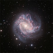 Southern Pinwheel Galaxy