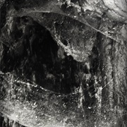 Abyssal - Novit Enim Dominus Qui Sunt Eius