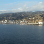 Cruise Avalon, California (Catalina Island)