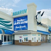 Jenkinson's Aquarium