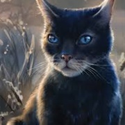 Crowfeather