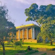 Addis Ababa University