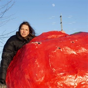 Crispy Crunchy Nothing (PACKS, 2023)