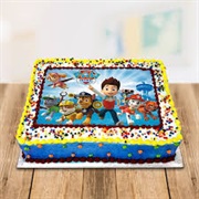Paw Patrol Cake for Birthday