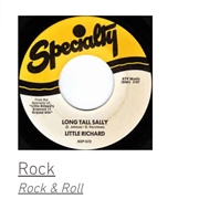 #1001 Long Tall Sally by Little Richard