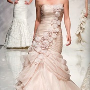 Cascade of Rosettes on Dress