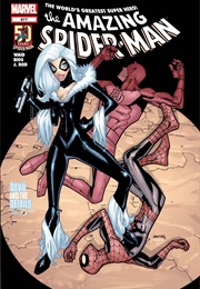 The Amazing Spider-Man #677 (Mark Waid & Lee Bermejo)