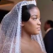 Crystal-Studded Wedding Veil
