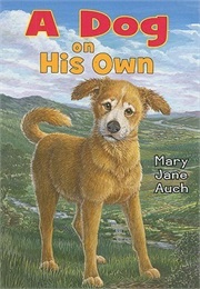 A Dog on His Own (Mary Jane Auch)