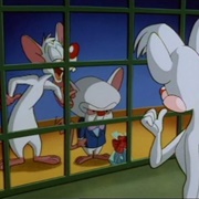 S1,E44: Useless Facts/The Senses Song/The World Can Wait/Kiki's Kitten