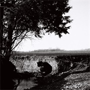 How Many - Jake Minch