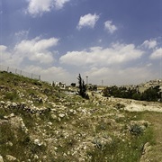 Ayn Ghazal, Amman