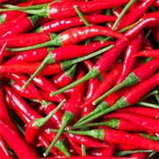 Fresh Chilli