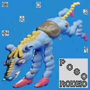 Pogo Rodeo (Psychedelic Porn Crumpets, 2025)