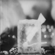 Gibbs SR: "Tingling Fresh"