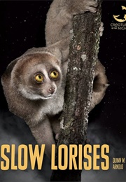 Slow Lorises (Quinn M. Arnold)
