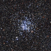 Wild Duck Cluster