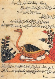 Kitab Al-Hayawan (Book of the Animals) (Al-Jahiz)