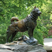 Balto Statue in Central Park
