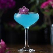 Jasmine Elderflower Daiquiri