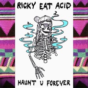 Haunt U Forever - Ricky Eat Acid